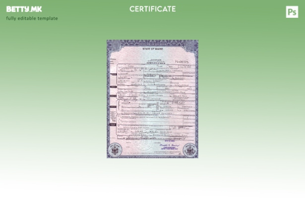 Модерен стил шаблон за уверение за смрт од државата Мејн во САД во шаблон за фор